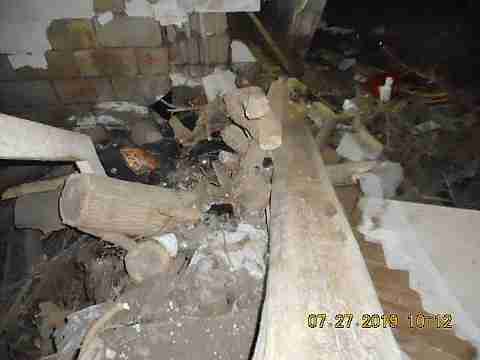 16737 Dolphin (28)_m.jpg